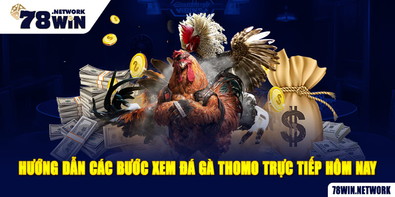 Hướng dẫn các bước xem đá gà Thomo trực tiếp hôm nay Hướng dẫn các bước xem đá gà Thomo trực tiếp hôm nay