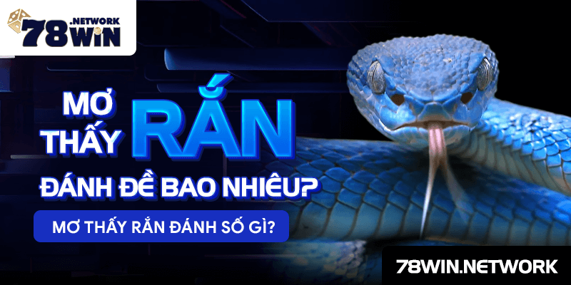 Mơ thấy rắn đánh đề bao nhiêu? Mơ thấy rắn đánh số gì?