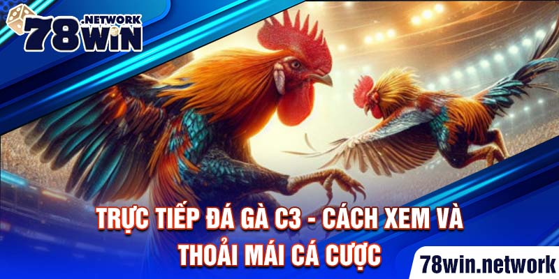 Trực tiếp đá gà C3 - cách xem và thoải mái cá cược Trực tiếp đá gà C3 - cách xem và thoải mái cá cược