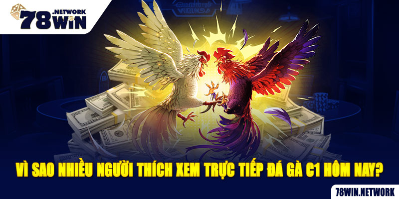 Vì sao nhiều người thích xem trực tiếp đá gà C1 hôm nay?